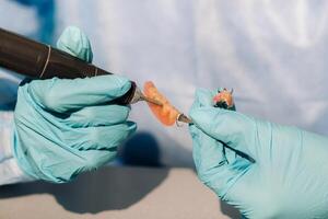 fechar-se do uma com luva dental técnico trabalhando em uma protético dente dentro dele laboratório foto