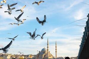 viagem para Istambul fundo. gaivotas e yeni cami também conhecido como Novo mesquita dentro eminonu foto