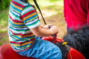 lindo pequeno menina equitação pónei cavalo, Visão do segurando com mãos foto