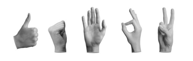 mão gestos definir. dedos mostrando OK, vitória, Oi saudações, punho, Está bem sinais isolado em branco foto