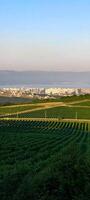 cidade panorama montanhas e uva Campos foto