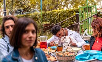 grupo do multicultural amigos tendo Diversão às jardim festa - jovem pessoas sorridente juntos comendo Comida e bebendo Cerveja foto