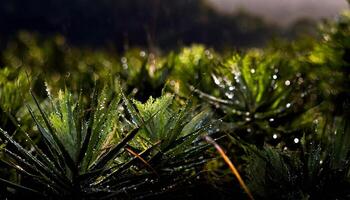 ai gerado foto-realista fechar-se do frondoso plantas com água gotas dentro uma natural luz foto