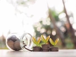 plantas crescendo acima em pilha do moedas. a conceito do salvando dinheiro, financeiro, investimento e o negócio crescente. foto