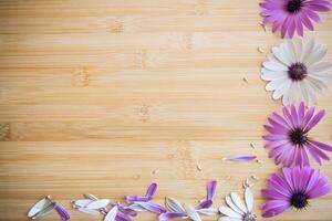 lindo branco e roxa osteospermum flores em uma de madeira foto