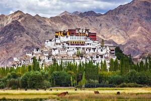 thiksey gompa, ladakh, Índia foto