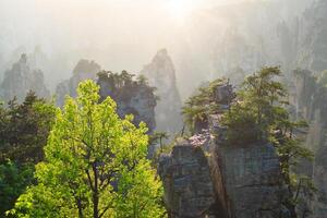 Zhangjiajie montanhas, China foto