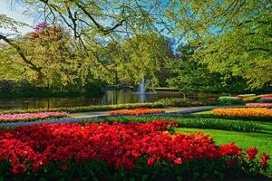 Keukenhof flor jardim. lisse, a Holanda. foto