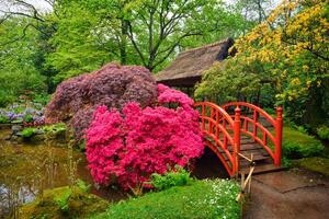 japonês jardim, parque Clingendael, a Haia, Países Baixos foto