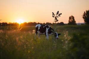 ai gerado vacas dentro campo pôr do sol dentro a tarde. neural rede ai gerado foto