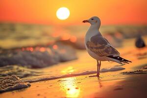 ai gerado gaivotas e pôr do sol, mundo animais selvagens dia foto