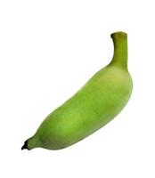 verde bananeira banana isolado em branco foto