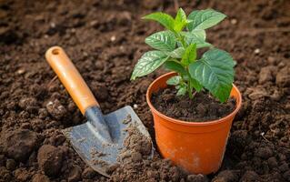 ai gerado jardinagem Ferramentas em a terra foto