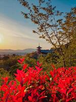 vermelho flores dentro a primeiro plano com vermelho pagode Visão foto