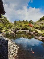 peixes debaixo uma japonês velho ponte foto