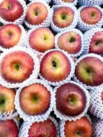 fresco vermelho maçãs embrulhado dentro tentador fruta redes estão dentro caixas ser vendido às tradicional mercados foto