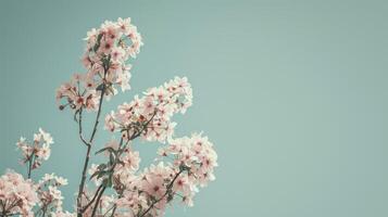 ai gerado pode vibrações fundo, Primavera foto