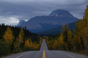 lindo em linha reta estrada dentro Canadá dentro outono. foto