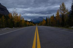 lindo em linha reta estrada dentro Canadá dentro outono. foto