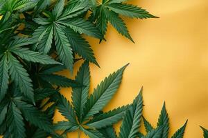 ai gerado fresco verde maconha cannabis folhas quadro, Armação em brilhante amarelo fundo com cópia de espaço foto