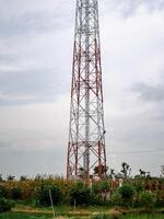 Internet fornecedor rede transmissor torre em pé dentro a meio do uma arroz campo foto
