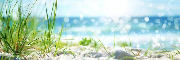 ai gerado bandeira brilhante verão de praia fundo com vibrante grama, espumante mar, e Claro céu para período de férias e viagem desenhos foto
