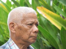 retrato do uma Senior homem olhando longe enquanto em pé dentro uma jardim. espaço para texto. conceito do envelhecido pessoas e cuidados de saúde foto