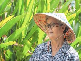 retrato do uma Senior ásia mulher vestindo uma chapéu, sorridente e olhando longe enquanto em pé dentro uma jardim. espaço para texto. conceito do velho pessoas e cuidados de saúde foto