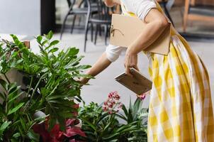cortada tiro do irreconhecível mulher segurando em vaso flor plantar dentro jardim fazer compras. foto