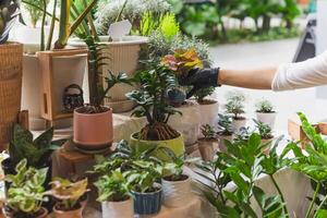 cortada tiro do irreconhecível mulher segurando em vaso flor plantar dentro jardim fazer compras. foto