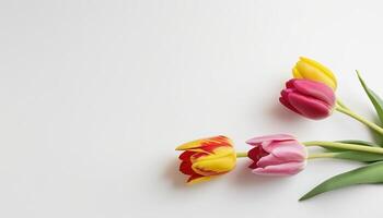 ai gerado tulipa em uma branco fundo foto