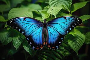 ai gerado lindo estilizado azul monarca borboleta em natural folhas ambiente, ai gerado foto