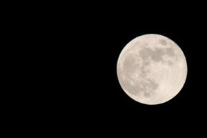cheio lua brilhante dentro a outono céu dentro Pensacola florida, Unidos estados Outubro 23 2023 foto