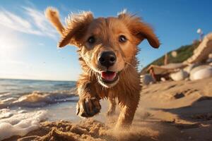 ai gerado alegre engraçado brincalhão cachorro corrida ao longo mar de praia em ensolarado dia, Largo ângulo Visão foto