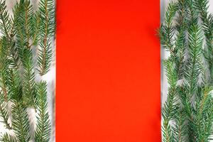 Natal composição, plano deitar. em branco vermelho cartão, Natal árvore galhos em uma branco fundo. inverno fundo topo visualizar, cópia de espaço foto