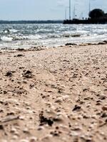 Dublin, monte arenoso de praia ondas em ensolarado dia com conchas do mar dentro a areia dentro a primeiro plano foto