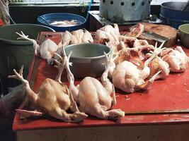 tangerangue, Indonésia maret 2024 foto do a mercado situação para frango e carne vendedores