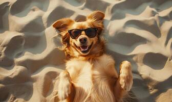 ai gerado feliz cachorro vestindo oculos de sol relaxante em a de praia areia foto