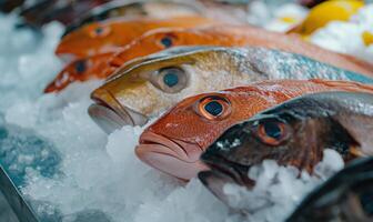 ai gerado fresco frutos do mar exibição - refrigerado peixe em gelo às mercado foto