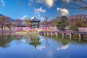 gyeongbokgung Palácio dentro Primavera Tempo dentro Seul cidade do Coréia, sul Coréia. foto