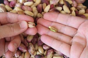 fresco gaziantep pistachios dentro do homem mão foto