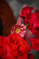 vermelho flores em mesa foto