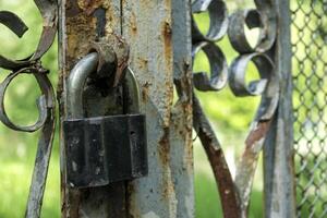 velho cadeado em uma oxidado cerca fechar acima. foto