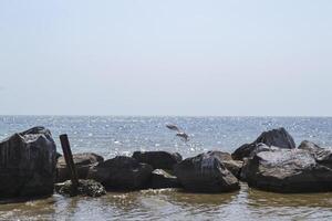 gaivotas em a grande pedras dentro a mar. lindo seascape. foto