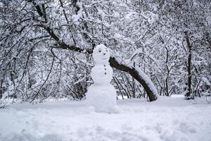 uma fofa boneco de neve dentro a inverno parque. foto