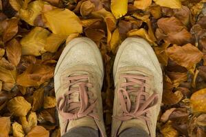 mulher caminhando dentro outono parque. garotas pés dentro tênis em a caído folhas. foto