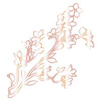 sakura ramo com flores decoração. foto