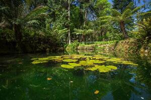 jardim do Éden jardim localizado dentro sintra, Portugal foto