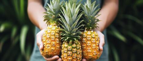 ai gerado pessoa segurando três abacaxi dentro mãos, fresco tropical frutas pronto para apreciar foto