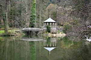 pequeno ilha com velho pavilhão e ponte dentro a floresta lago foto